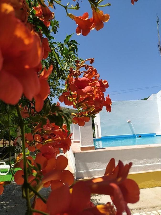 Quinta Da Ponte Das Hortas 3 Elvas Dış mekan fotoğraf