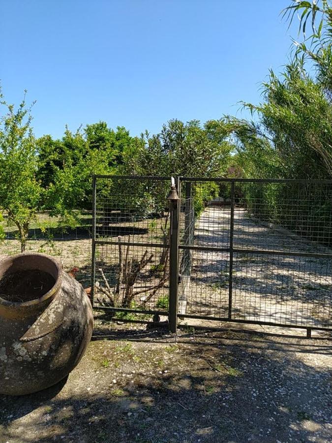 Quinta Da Ponte Das Hortas 3 Elvas Dış mekan fotoğraf